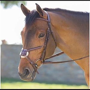 Harwich Figure 8 Bridle by Smartapak (cob)